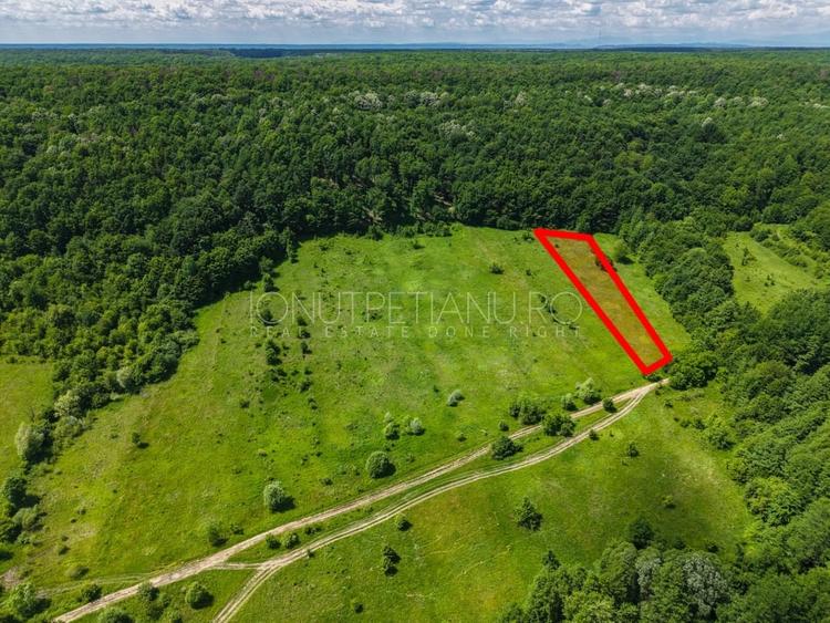 Teren agricol extravilan de 5500 mp, în Valea Mare-Podgoria