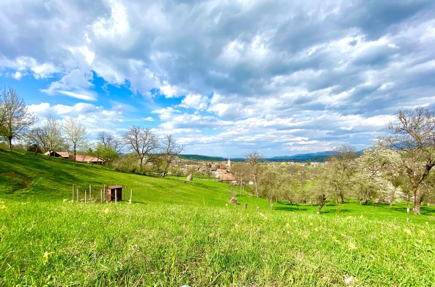 Teren de 3000 mp, în Predeluț