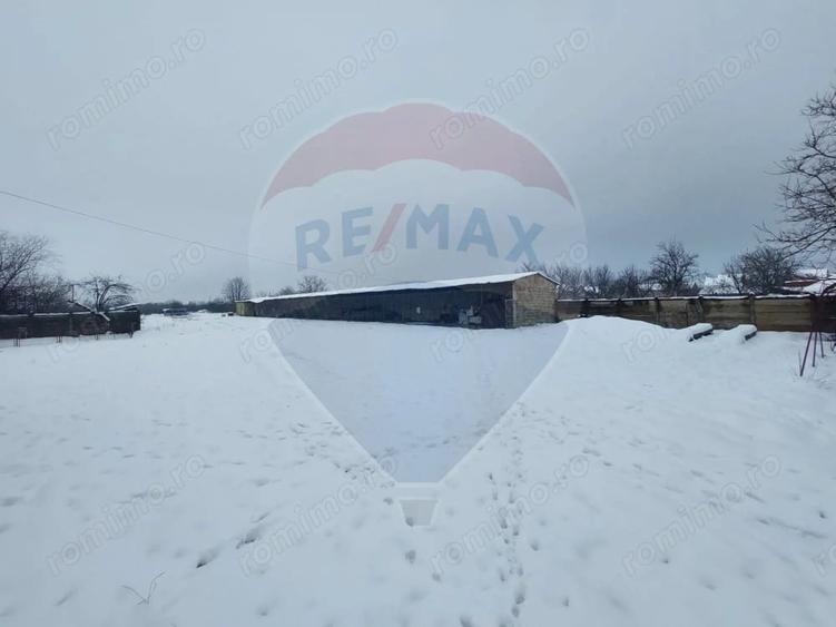 Casă cu 5 camere cu Teren 7531 Mp în Sacu
