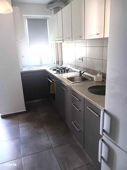 Apartament cu 2 camere decomandat în Turnișor