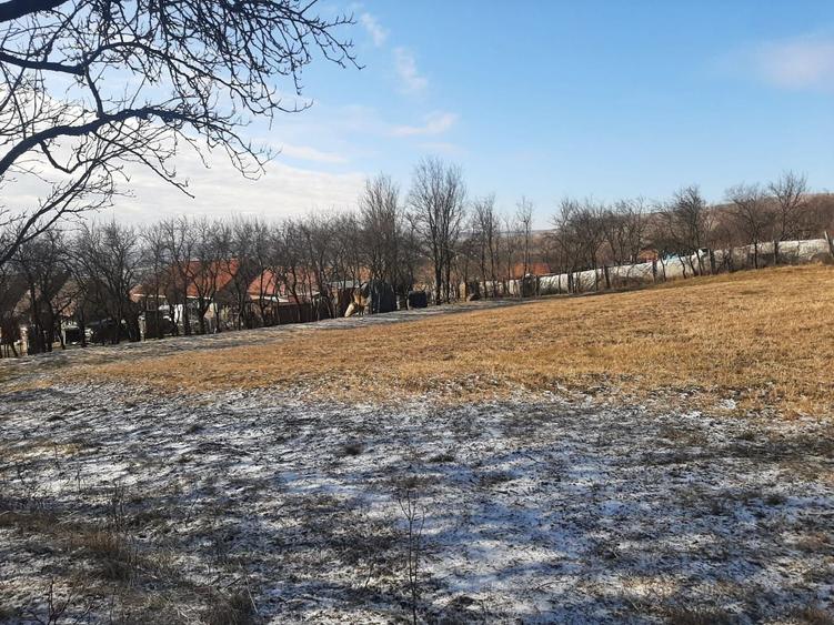 Teren Construcții intravilan de 1089 mp, în Rediu