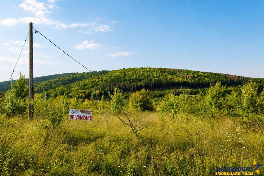 Teren de 450 mp, în Moacșa