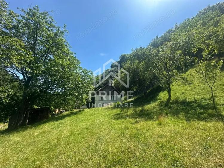 Casă cu 3 camere cu Teren 25000 Mp în Valea Vințului