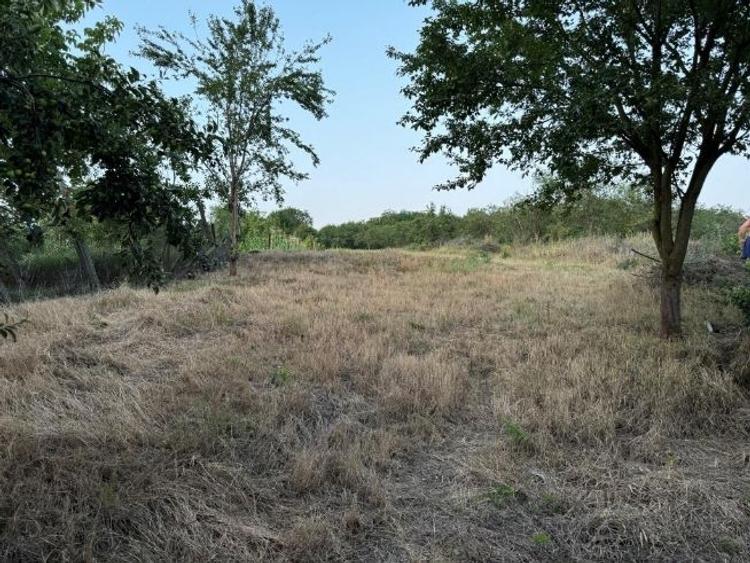 Casă cu 5 camere în Păuca - 10