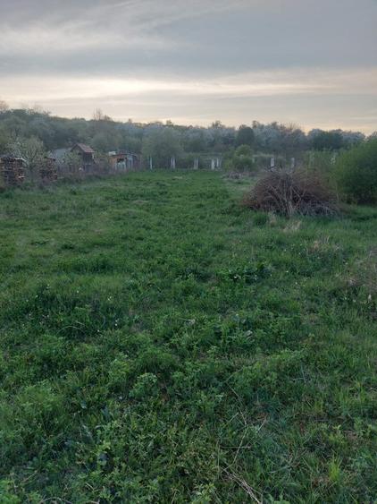 Teren de 1800 mp, în Ciurila