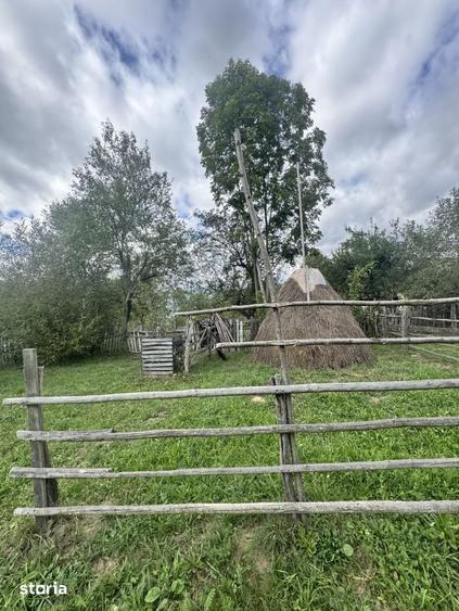 Casă cu 2 camere cu Teren 6605 Mp în Albești