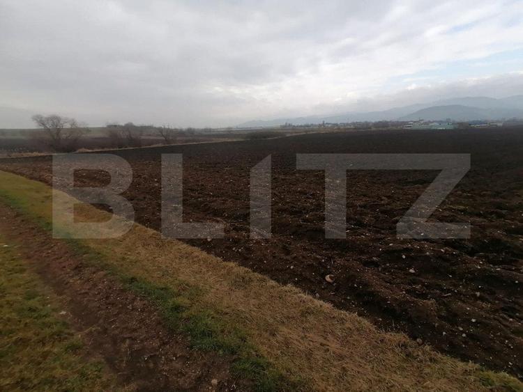 Teren Construcții intravilan de 21300 mp, în Exterior Vest