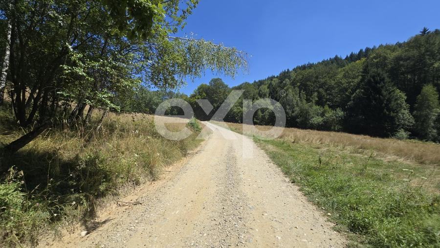 Teren agricol extravilan de 36200 mp, în Poiana Mărului
