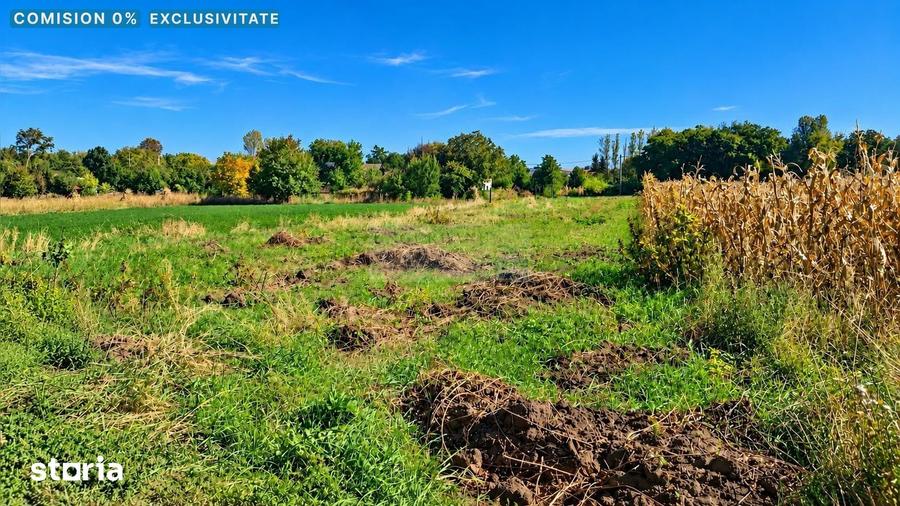Teren de 1500 mp, în Hilișeu-Horia