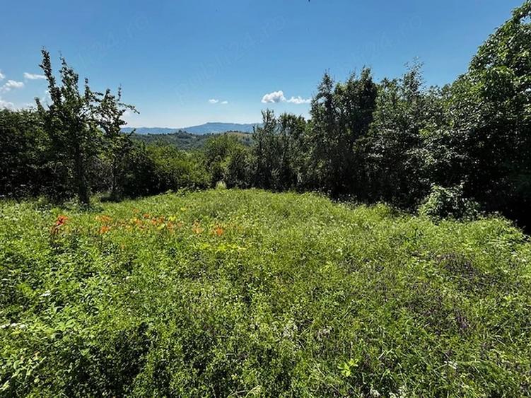 Teren de 3100 mp, în Dăești