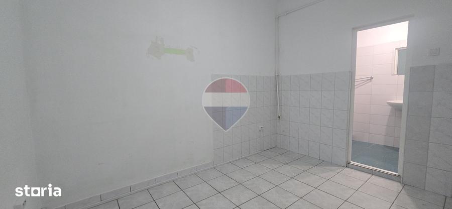 Spațiu comercial, de 38 mp, în Terezian