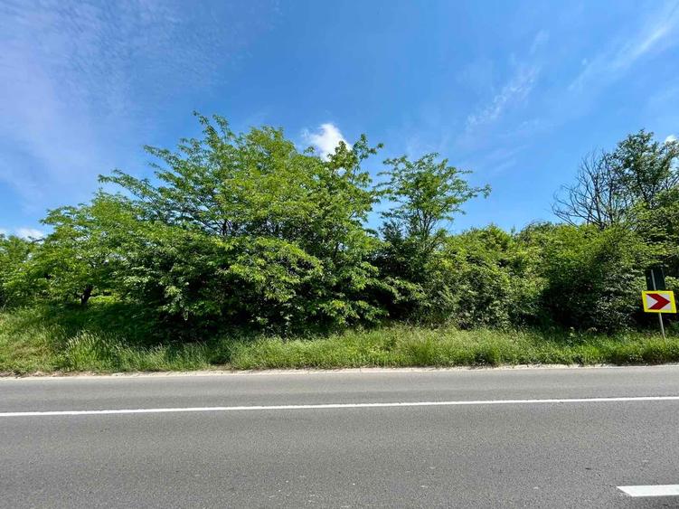 Teren Construcții intravilan de 2779 mp, în Bucium