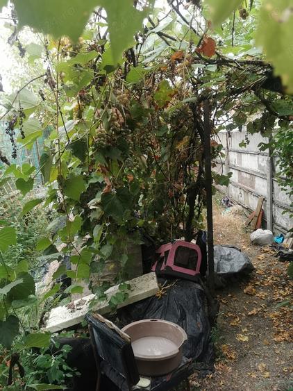 Casă cu 2 camere cu Teren 40 Mp în Central