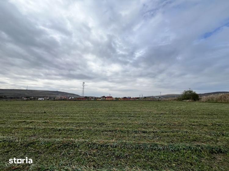 Teren de 25896 mp, în Bonț
