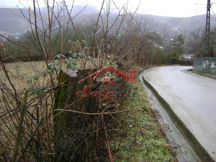 Teren de vanzare in Provita de jos