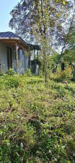 Casa vacanta Lopatnita Prahova - 6