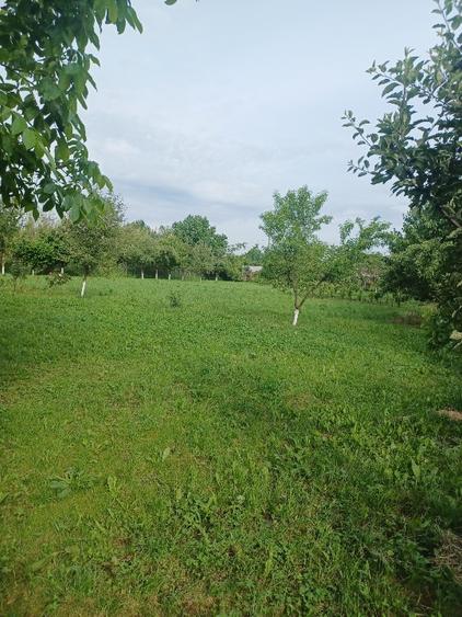 Teren Construcții intravilan de 3413 mp, în Gheorghe Doja
