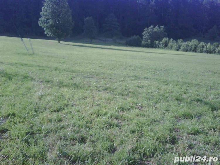 Teren în Brădet
