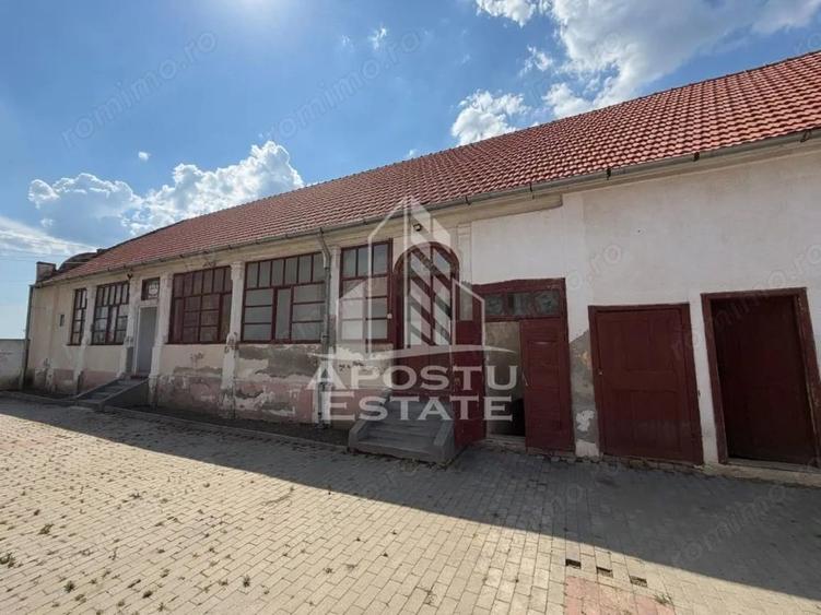 Casă cu 5 camere cu Teren 5755 Mp în Șandra