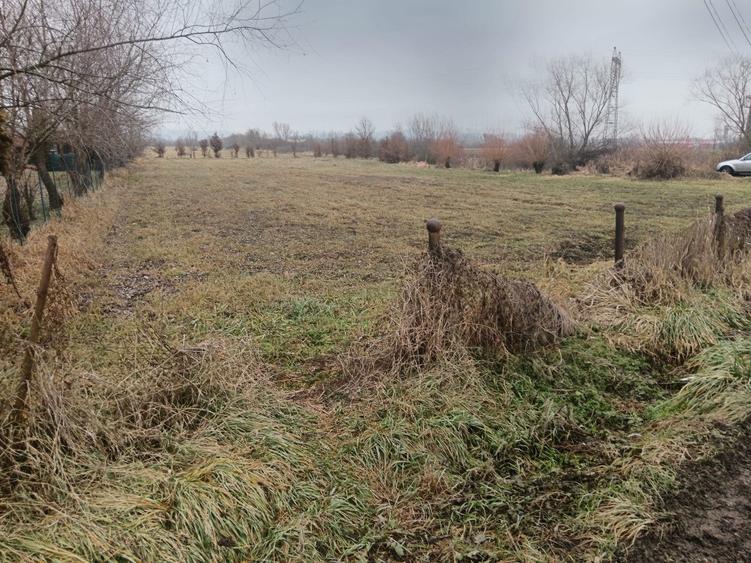 Teren de 3500 mp, în Culcea