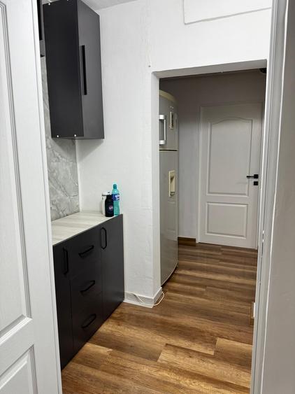 Apartament 2 camere 5 minute metrou 1 Decembrie 1918 - 7