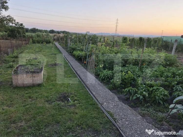 Casă cu 3 camere cu Teren 677 Mp în Central