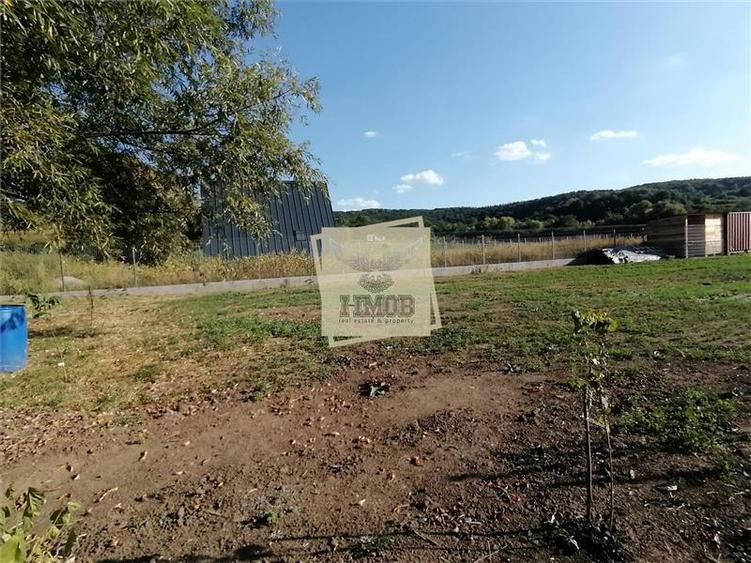 Teren Construcții intravilan de 3500 mp, în Hamba