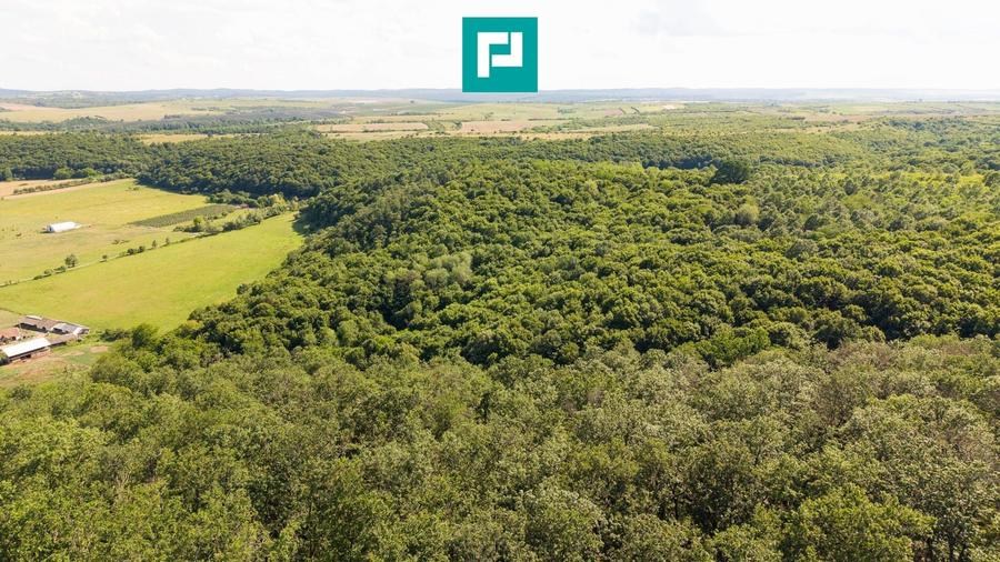 Teren agricol extravilan de 22900 mp, în Exterior Sud
