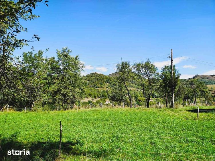 Casa Valisoara la pre?ul corect. - 7