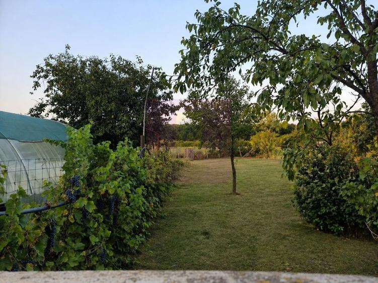 Casă cu 5 camere în Central