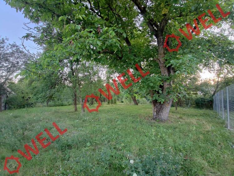 Teren Construcții intravilan de 1800 mp, în Calnic