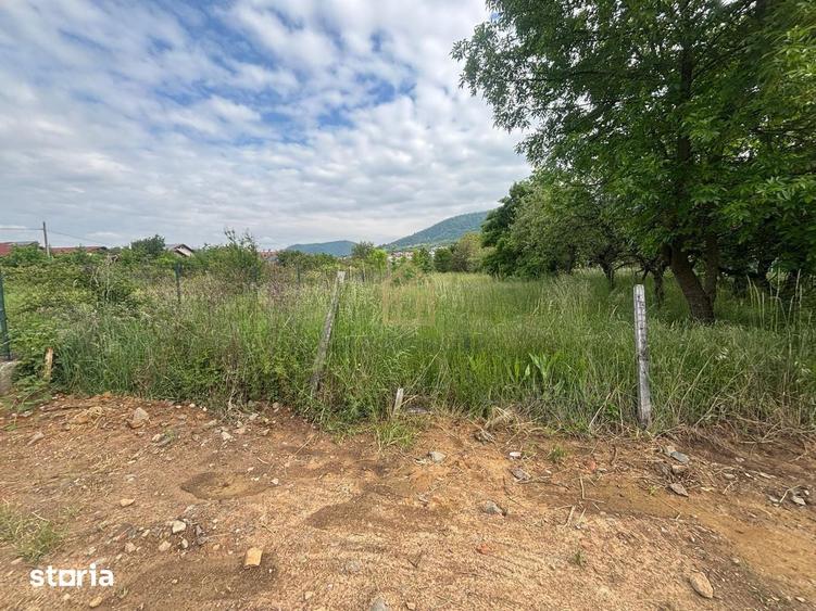 Teren intravilan de vanzare Zona Branduselor - Baia M - 1