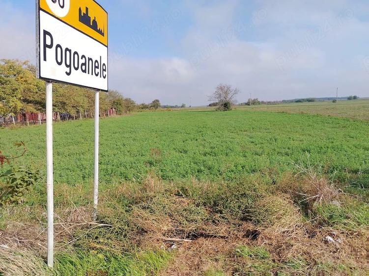 Teren 2.600 mp - deschidere 35m-intrare Pogoanele dinspre Buzau - 3