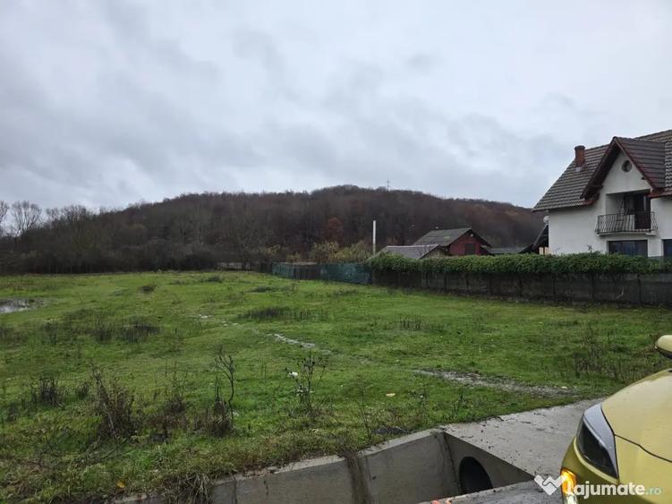 Teren de 2800 mp, în Borlești