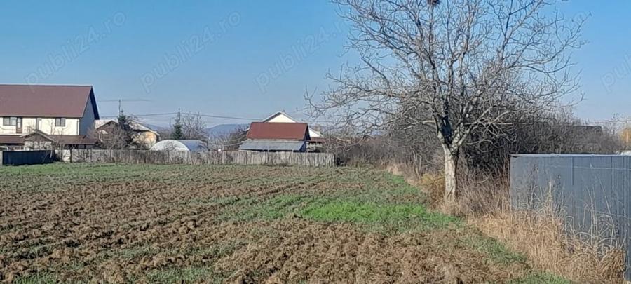 Teren de 7000 mp, în Brătășanca