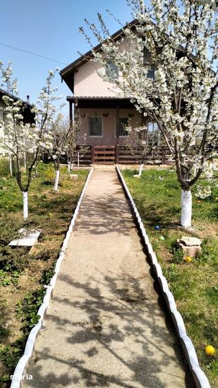 Casă cu 4 camere cu Teren 1035 Mp în Curtești
