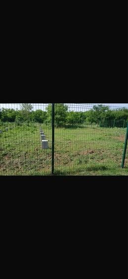 Teren Snagov aproape de padure - 4