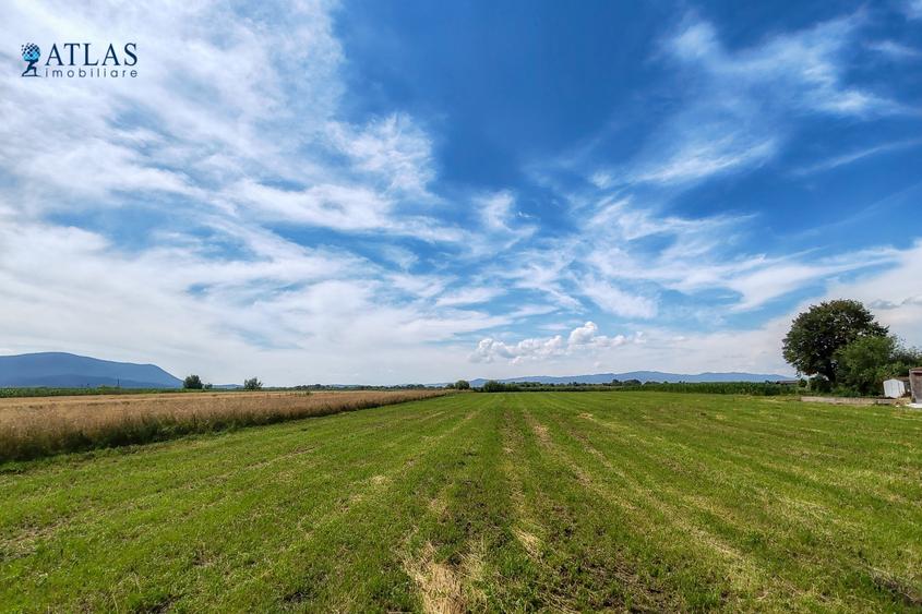 Teren Construcții intravilan de 500 mp, în Stupini