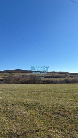 Teren agricol extravilan de 13300 mp, în Independenței