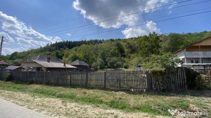 Teren de 4000 mp, în Aninoasa