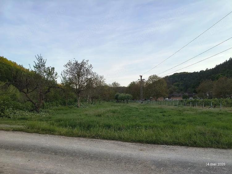 Teren de 34 mp, în Buciumi