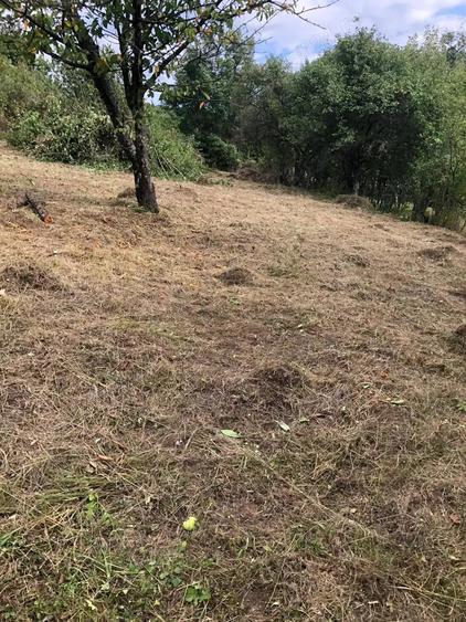 Teren în Geoagiu-Băi