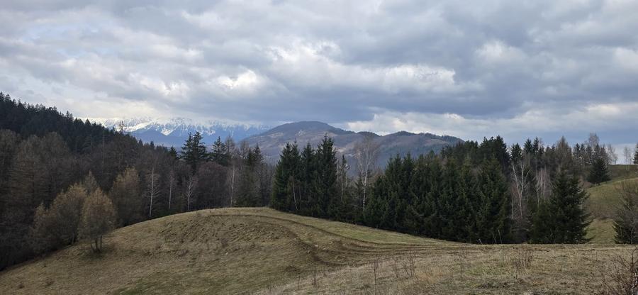 Teren Construcții intravilan de 3040 mp, în Bran