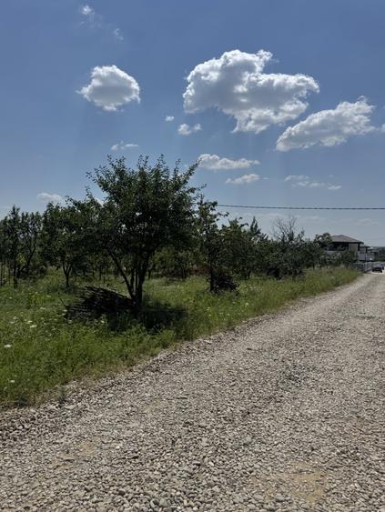 Teren Construcții intravilan de 565 mp, în Cocoșești