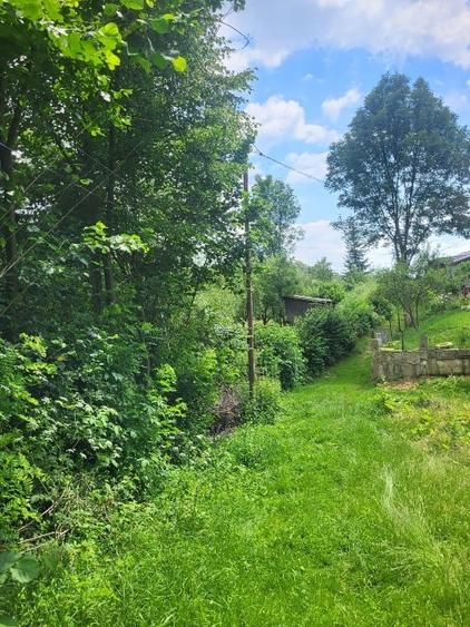 Teren Construcții intravilan de 3470 mp, în Valea Târsei