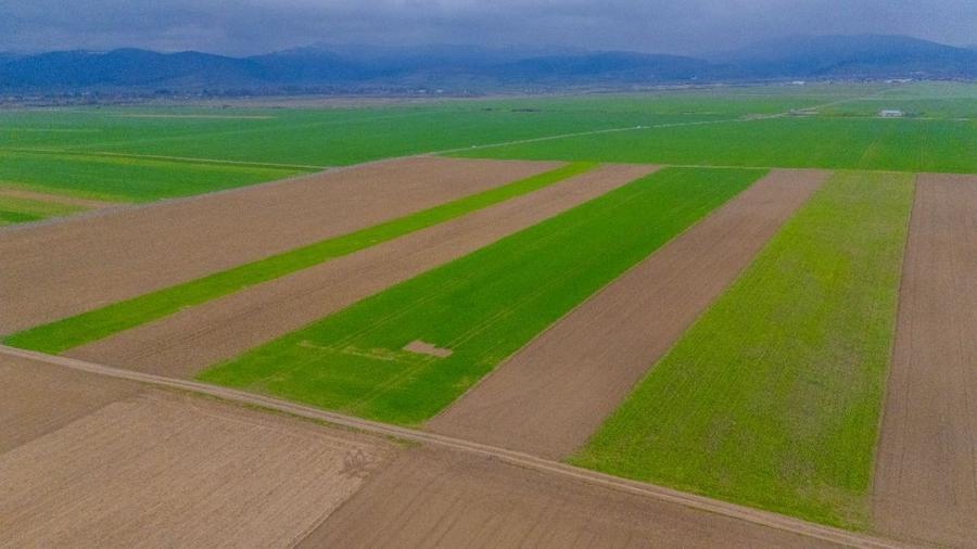 Teren agricol extravilan de 17700 mp, în Prejmer