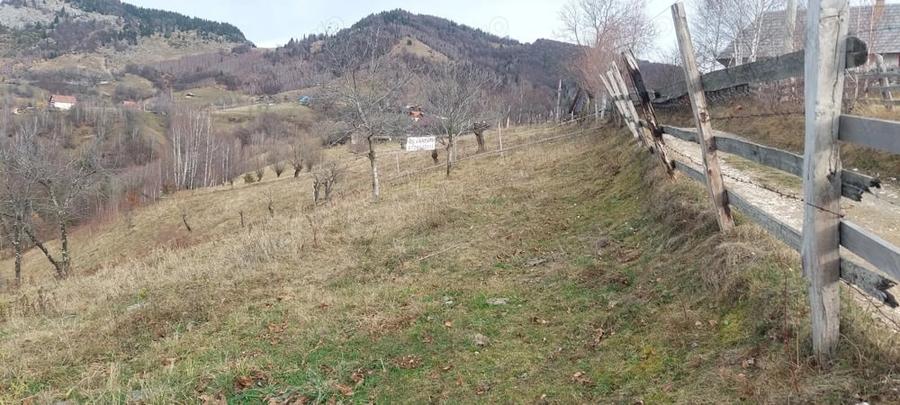 Teren Intravilan 4.608 mp in Sat Magura Priveli?te Panoramica Bucegi ?i Piatra Craiului - 4