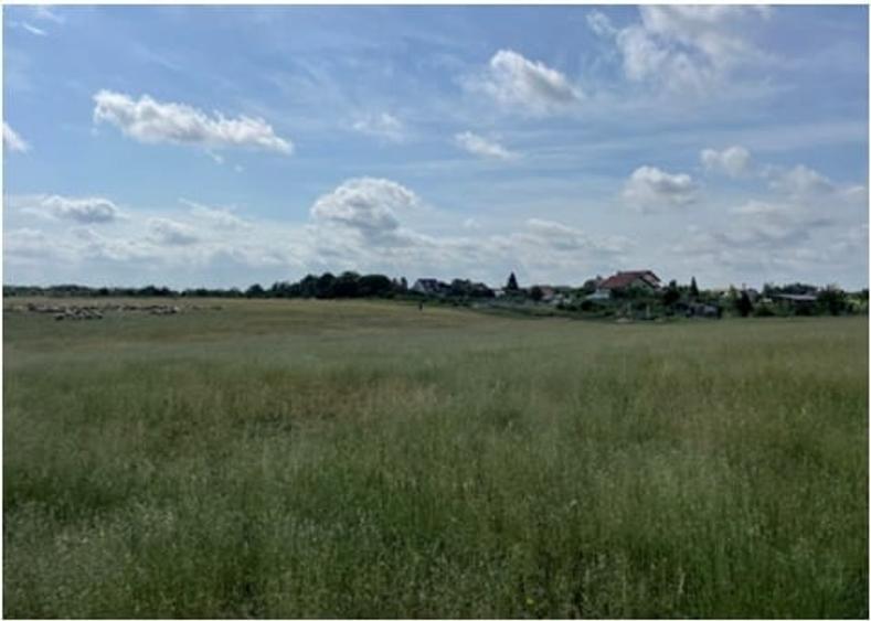 Teren Construcții intravilan de 906 mp, în Sânleani
