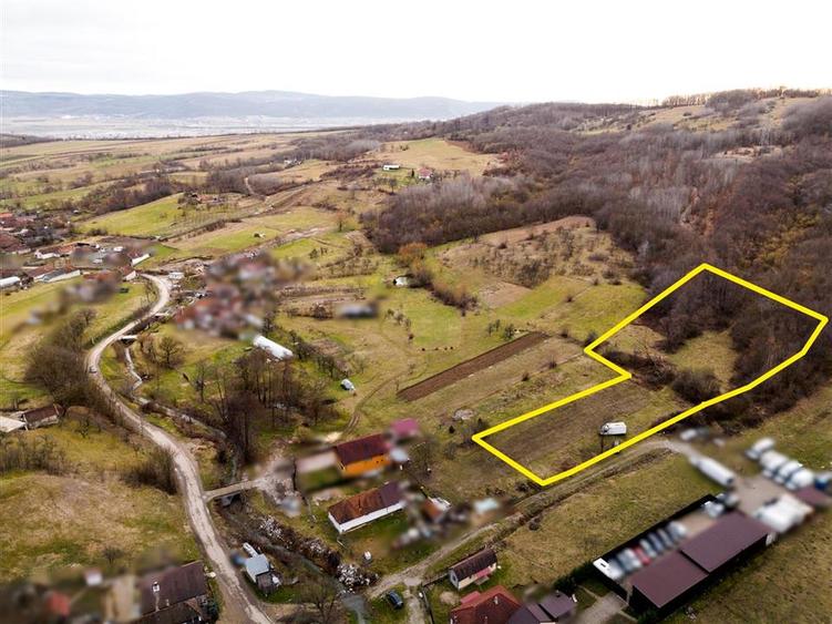 Teren intravilan de 7465 mp, în Peștiș