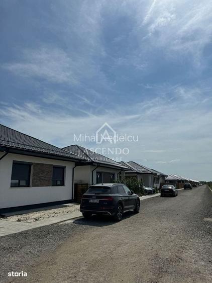 Vanzare teren 7.000 mp Buftea, zona Tamasi | langa padure